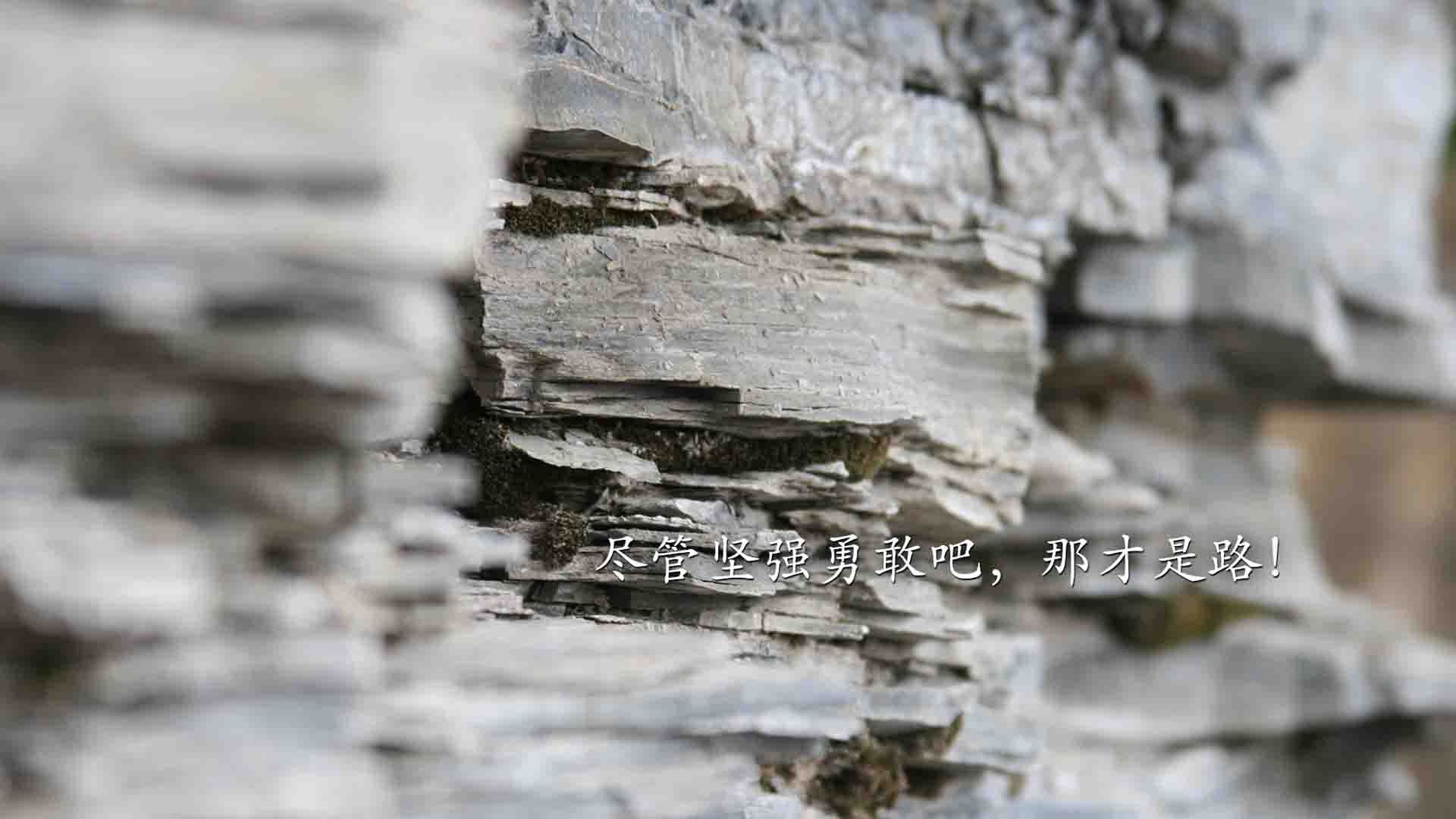 _勇士队连续三场得分突破100+_，勇士队3连冠