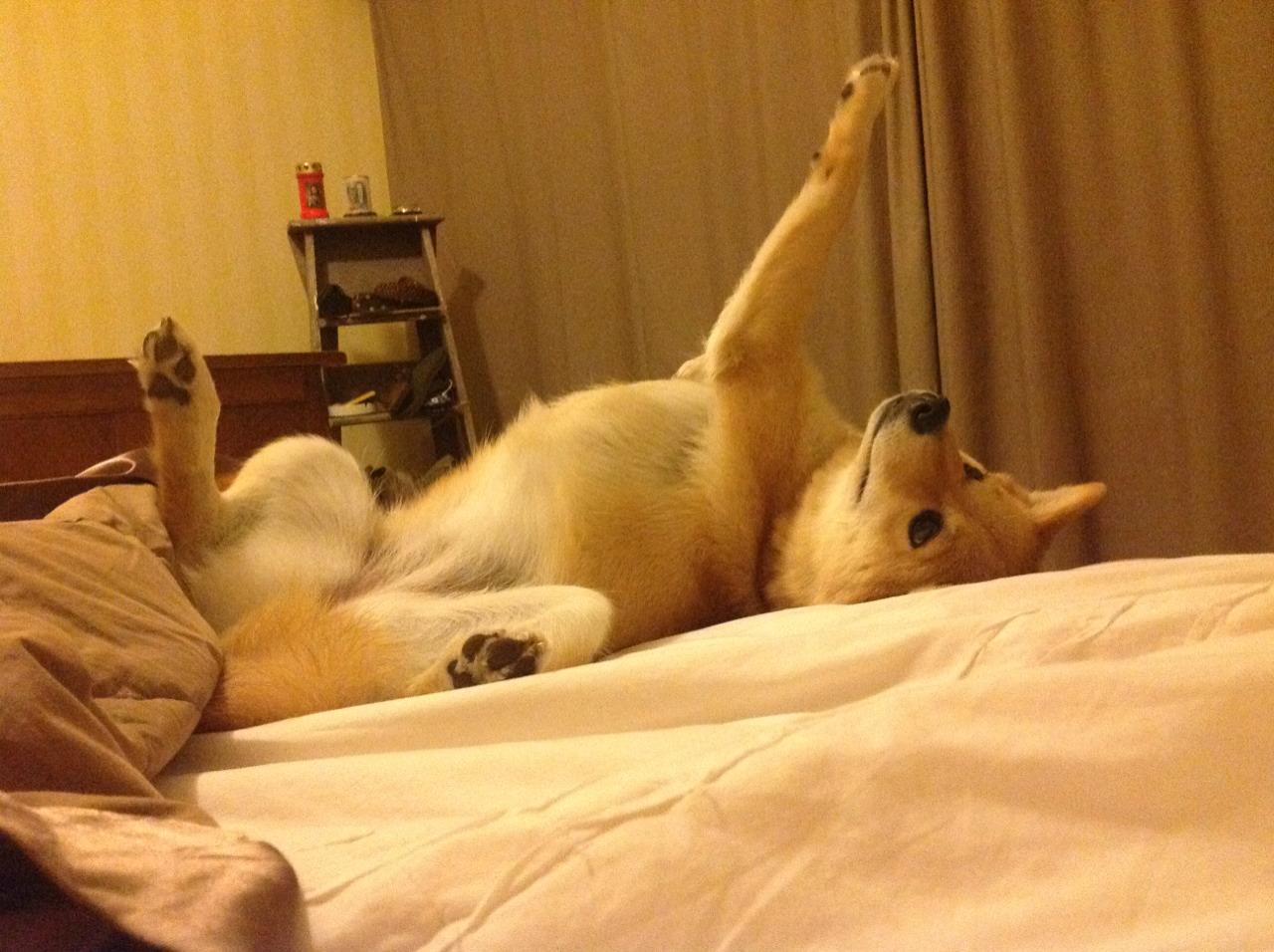 “西甲强强对决,豪门血拼冠军梦”,西甲豪门有哪些