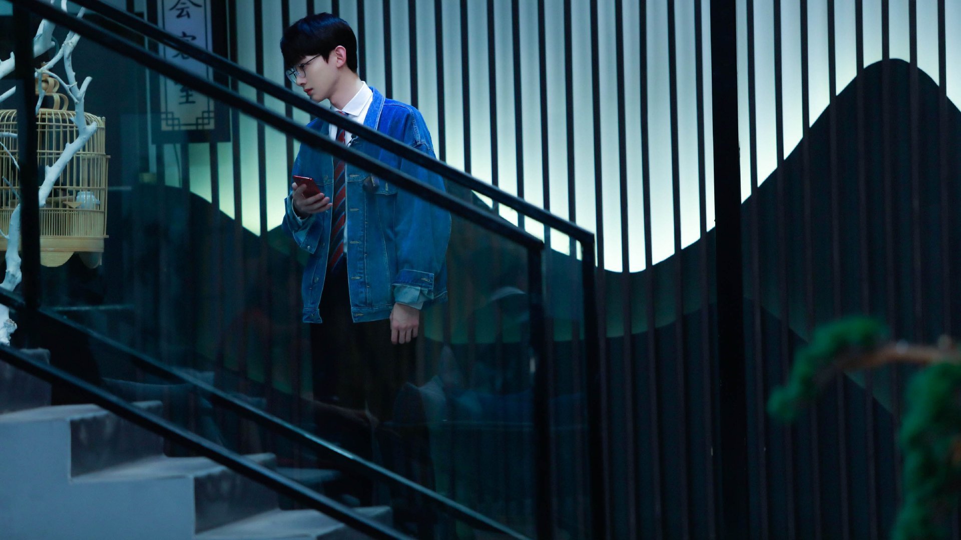 公牛稳步前行!,公牛新品发布