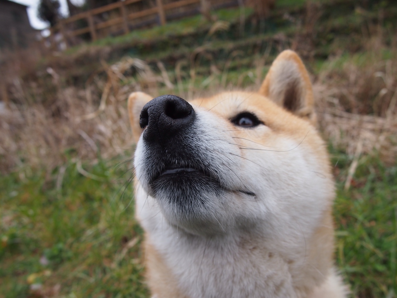 b体育网页版登录入口-团队默契：北京队全场助攻高达22次，传球流畅！，北京 球队