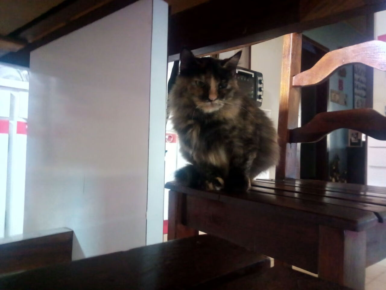 国乒包揽六金,展现亚洲霸主地位,国乒六巨头