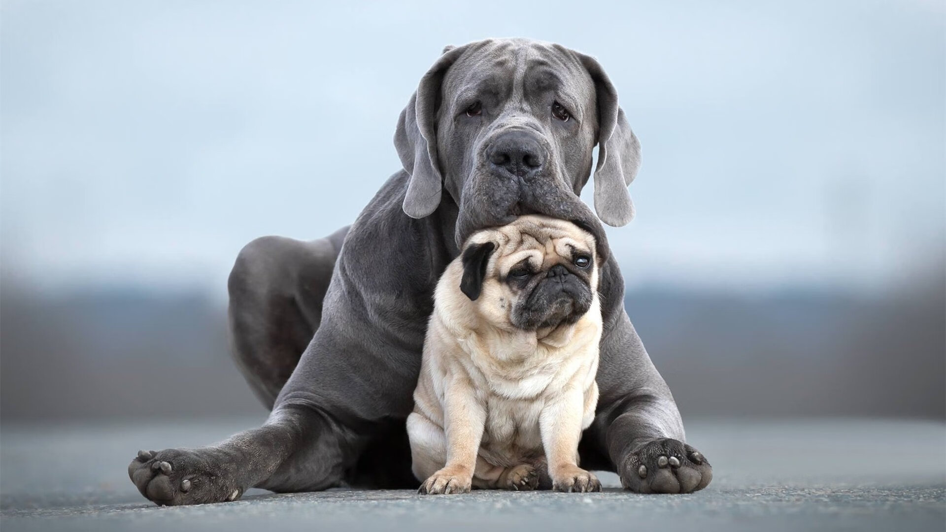 国际体育圈：女足比赛带来的激烈竞争！，体育 女足