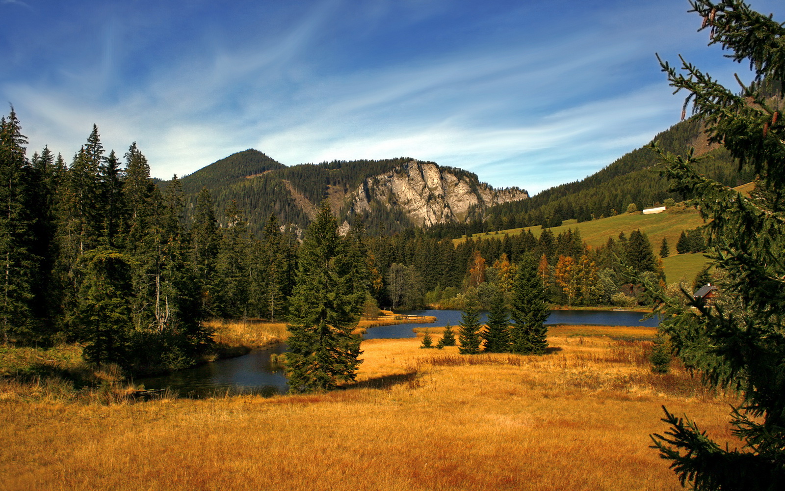 奇才球队赛季开局表现亮眼，奇才队的比赛