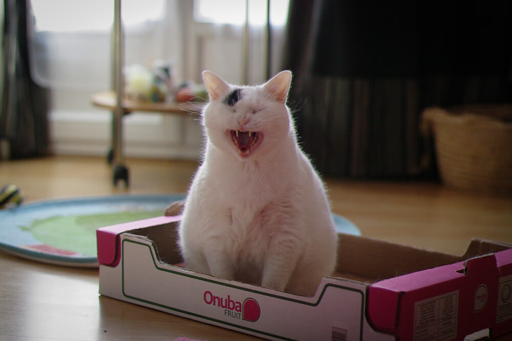 中国篮球职业联赛市场化运营模式探讨，我国篮球市场现状