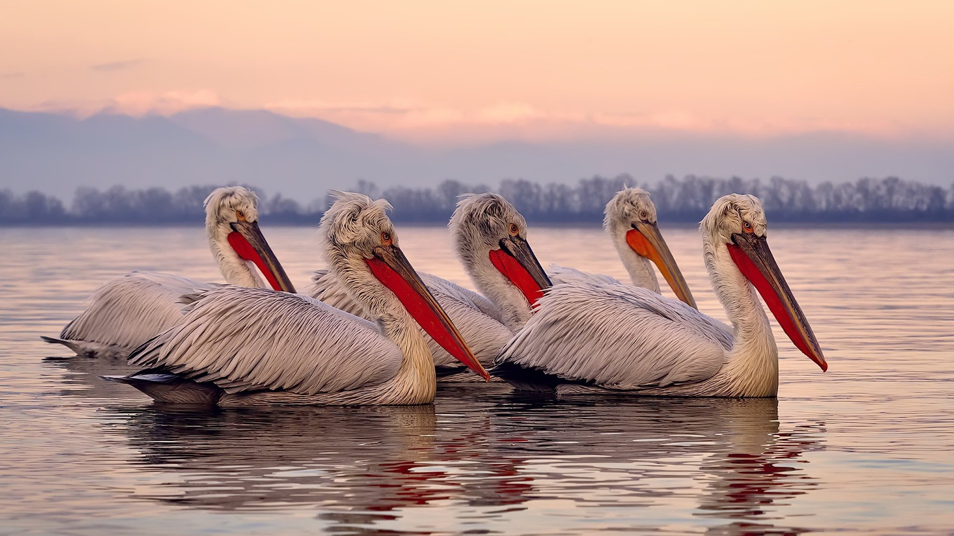 德甲球队在高强度对抗中体能衰减与失误率相关性研究,德甲体能测试