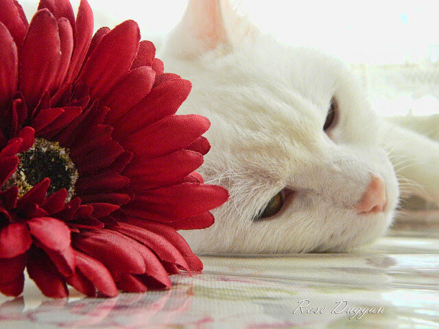 水上马拉松开赛,兴隆湖再迎高光时刻,水上马拉松比赛