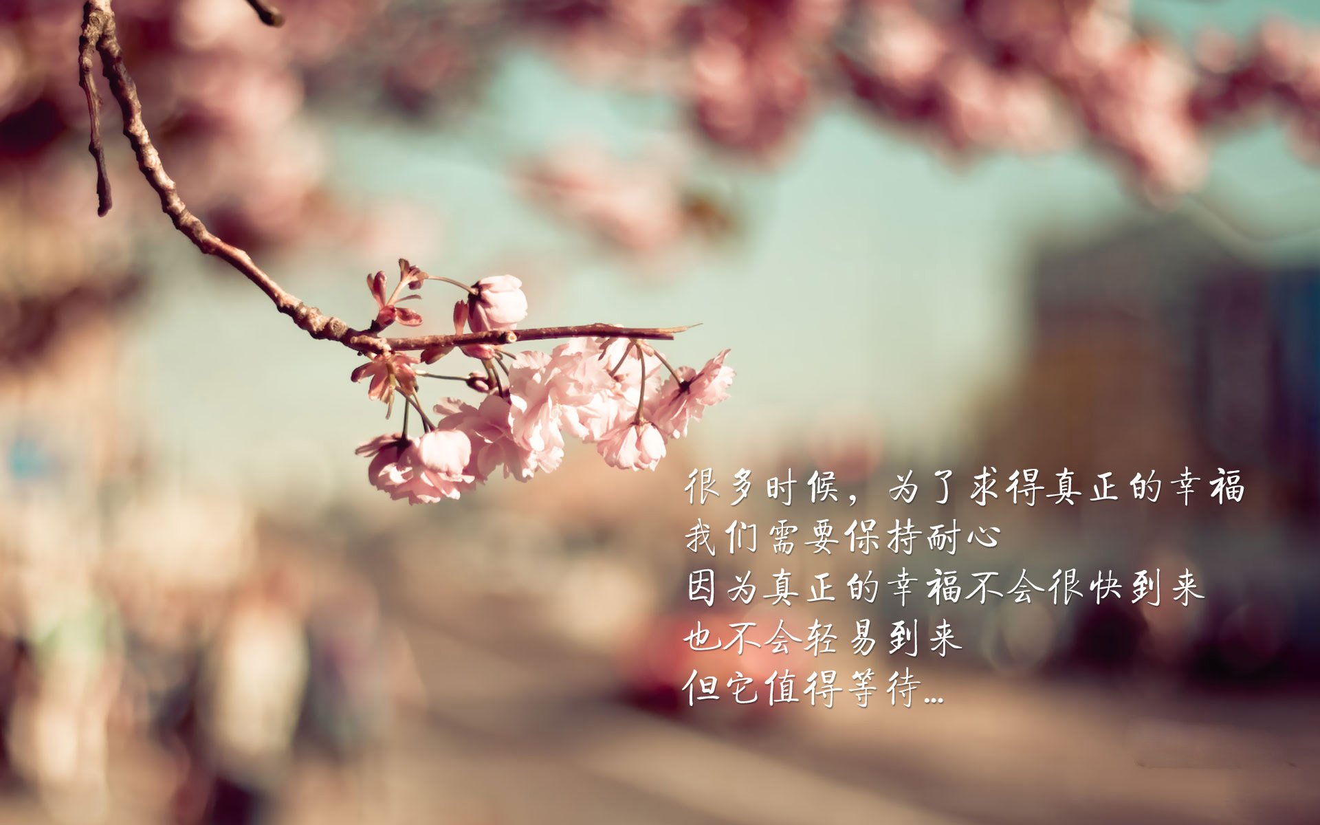 瑞典队:2024年国际乒联混合团体世界杯的黑马之势,瑞典乒乓球联赛