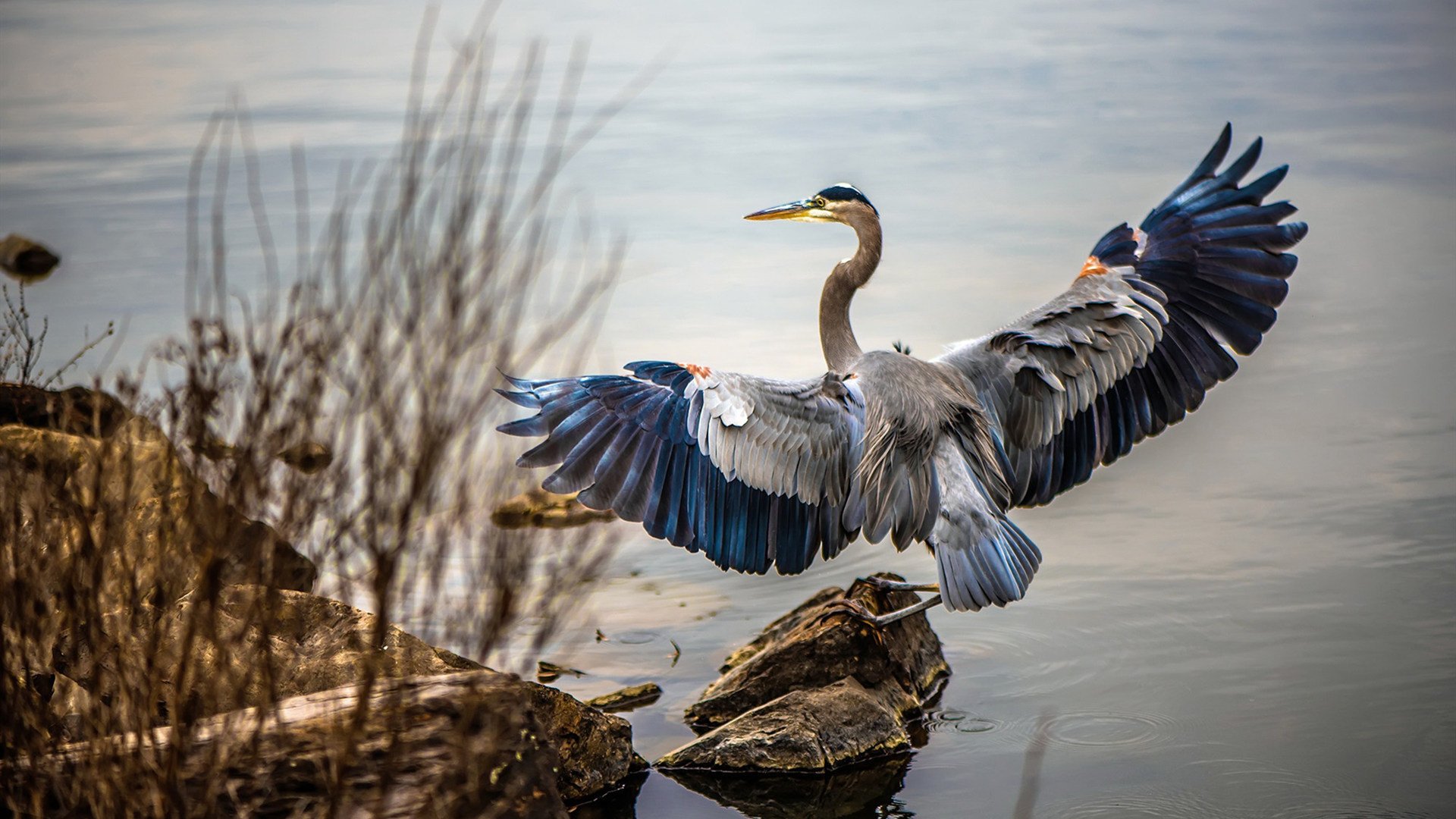 Bsports在线平台-尤文图斯中场引援成功，球队实力增强