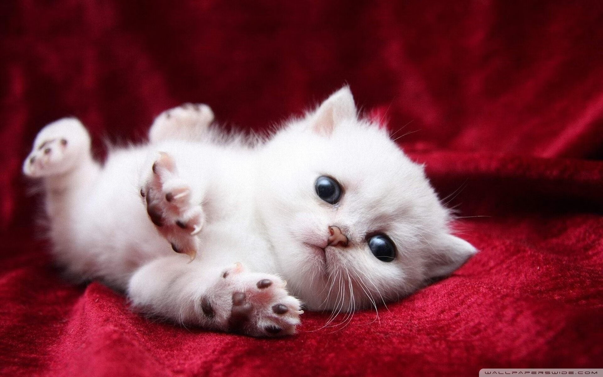 篮网宣布轮换阵容调整加强防守强度，篮网更换