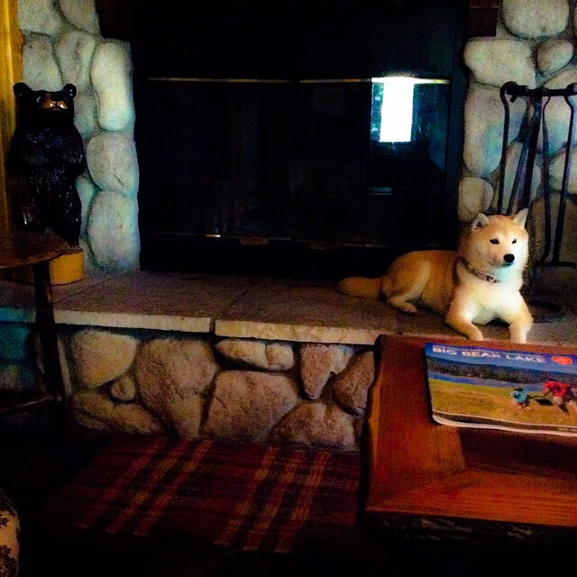 B体育中国官方平台-联合主办城市签署合作协议，共同推动赛事发展，联合承办和联合主办的区别