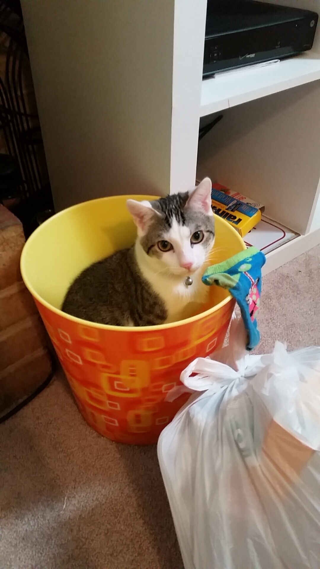 B体育在线登录入口-赞比亚男篮在非洲预赛中奋勇追逐，体育版图不断扩大，赞比亚进球