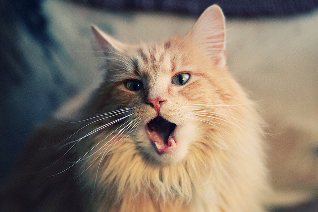 b体育网页版登录入口-青少年足球发展规划全面深化，政策支持不断增强，青少年足球训练计划制定